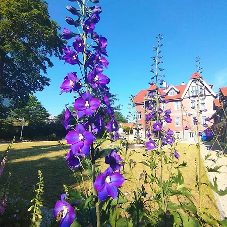 Deluxe-appartement-70m2-mit-fruehstueck-gruppenunterkuenfte-im-oberharz Sankt Andreasberg